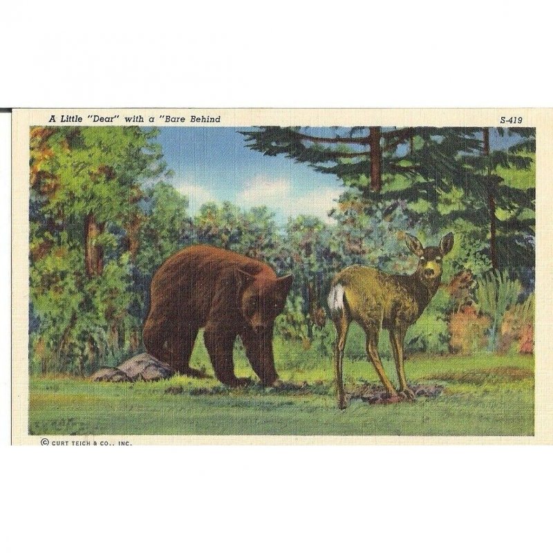 A Little Dear With A Bare Behind Curt Teich Printed Unposted Postcard