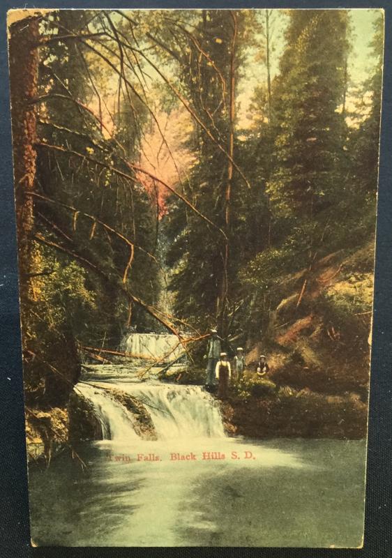 Postcard Unused Twin Falls Black Hills SD LB