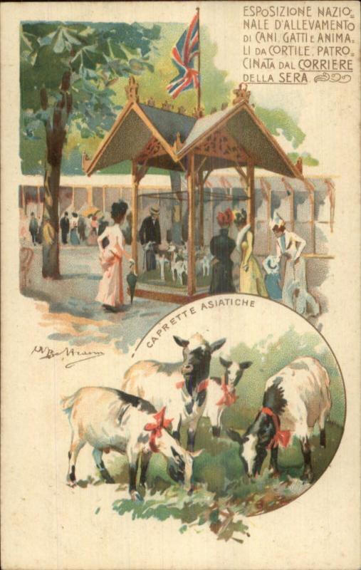 Animal Breeders Exhibition Cats Dogs Italy c1900 A/S Postcard SHEEP