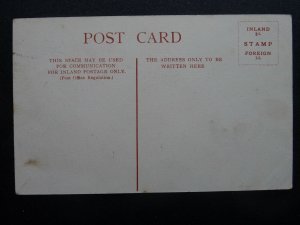 Devon BARNSTAPLE The Square & Albert Memorial c1906 Postcard by A.E. Barnes