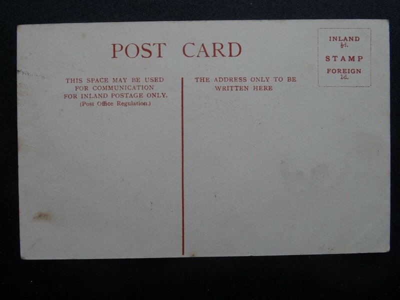 Devon BARNSTAPLE The Square & Albert Memorial c1906 Postcard by A.E. Barnes