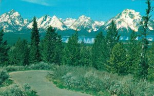 USA Teton Range Jackson Hole Wyoming Vintage Postcard 07.86