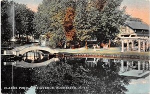 Clarks Pond Rochester, New York