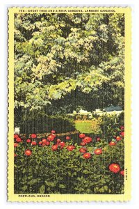 Ghost Tree & Zinnia Gardens Lambert Gardens Portland Oregon Postcard