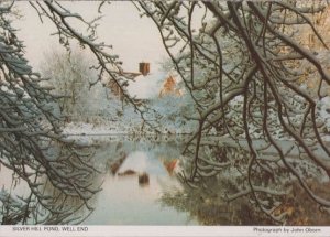 Silver Hill Pond Well End Hertfordshire Village at Christmas Snow Rare Postcard