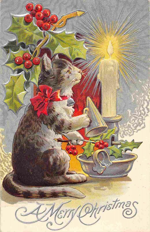 Cat Candle Holly Merry Christmas Greetings 1910c postcard