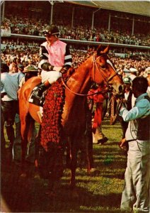 KY, Kentucky Derby Winner STEVE CAUTHEN & Horse AFFIRMED  1978 4X6 Postcard