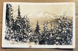 .01 REAL PHOTO (RPPC) POSTCARD 1938 USED - MT. SHASTA, CAL.