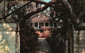 Vintage Postcard A Beautiful Century Old Home Houses Summerville South Carolina