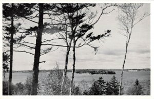 c.1950’s Bean Island, Sorrento, Maine Real Photo Postcard 10C1-425 