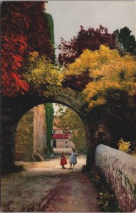 Beautiful Landscape Two Girls Under A Bridge Vintage Postcard C113