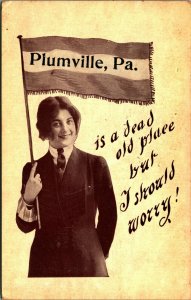 Plumville Pennsylvania is a Dead Old Place But I Should Worry Flag 1912 Postcard