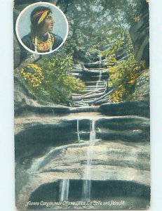 Divided-back NATURE SCENE Oglesby & Jonesville - Near Ottawa Illinois IL AD5415