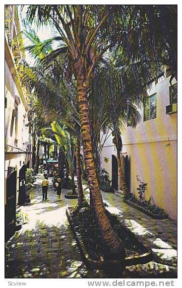 Palm Passage, St. Thomas, U.S. Virgin Islands, 1940-1960s