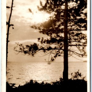 c1920s Houghton Lake, Mich. RPPC Sunrise Pine Tree Scenic MI Real Photo PC A138