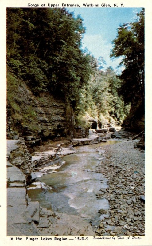 New York Watkins Glen Gorge At Upper Entrance Dexter Press