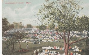 DELHI, MAHOMMEDANS AT PRAYER, India - Vintage POSTCARD