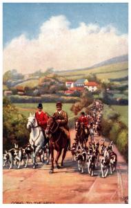 Dog   Fox Hunting Hounds