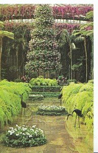 America Postcard - Longwood Gardens - Kennett Square - Pennsylvania   SL400