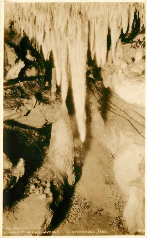 RPPC Postcard; Onyx Jungle, Lookout Mountain Caverns Chatanooga TN Cline