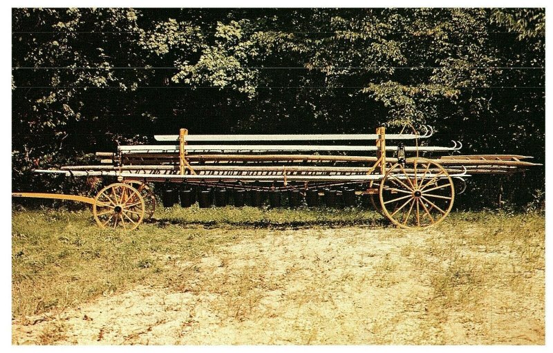 Hand Drawn Ladder Wagon Centerville Wisconsin Postcard