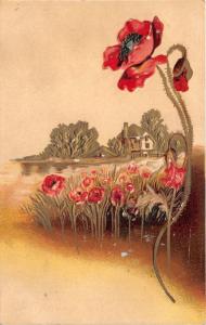 Birthday Greeting~Embossed Poppies Along Creek~Close View of Poppy~c1910 Pc