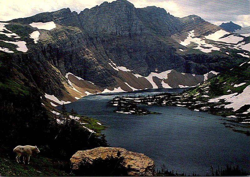 Montana Glacier National Park Hidden Lake