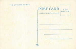 Niagara Falls New York 1930s Postcard Temperance House