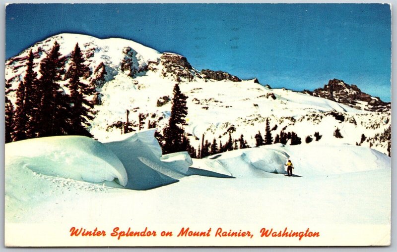 Vtg Washington WA Mount Rainier Mazama Ridge near Paradise Lake Postcard