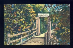 Palenville, New York/NY Postcard, Swinging Bridge, Catskill Mountains