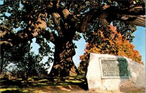 South Bend, IN Indiana  COUNCIL OAK TREE~PLAQUE  Highland Cemetery  Postcard
