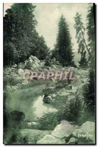 Old Postcard Pau Mountain Garden Plants