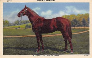 Man O' War Horse Racing, Trotters, Unused 