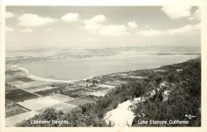 c1940 RPPC Postcard Lakeview Heights, Lake Elsinore CA Riverside Co. Orchards