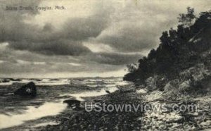 Stony Beach in Douglas, Michigan