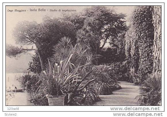 Italy Lombardia Como - Lago Maggiore Isola Bella - Studio di Vegetazione 00s ...