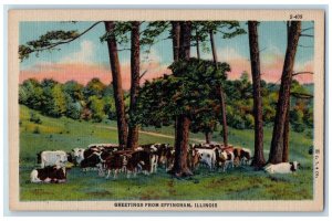 c1940's Greetings From Effingham Illinois Lined Trees Cows Nature IL Postcard