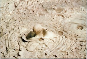 postcard Rotorura, New Zealand - Boiling Mud Pool