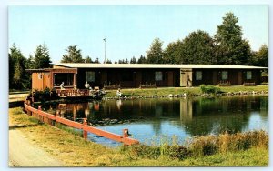 PORT ANGELES, WA Washington ~ THUNDERBIRD MOTEL c1950s Roadside Postcard