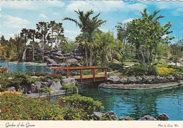 Bahamas Nassau Garden Of The Groves