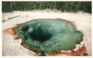 Wyoming, The Morning Glory Upper Geyser Basin Yellowstone Park, Vintage Postcard