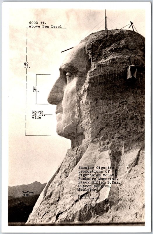 Gigantic Proportion Of Figures On Mt. Rushmore Memorial Black Hills SD Postcard