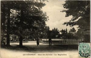 CPA Le VESINET - Rue des Écoles - Le Sapintere (359262)