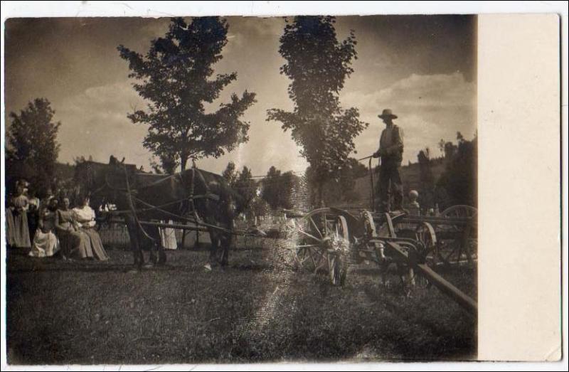 RPPC, Horse Drawn Wagon