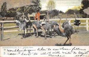 Jacksonville, Florida Ostrich farm Ostrich Writing on Back 