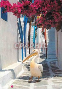 Postcard Modern Greece Pelican