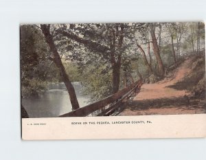 Postcard Nature Scene on the Pequea Lancaster County Pennsylvania USA