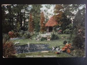 Cambridgeshire HINCHINGBROOKE JAPANESE GARDENS c1906 by Valentines 53105