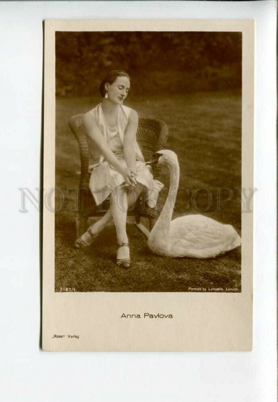 3175404 Anna PAVLOVA Russian BALLET Dancer & SWAN Vintage PHOTO