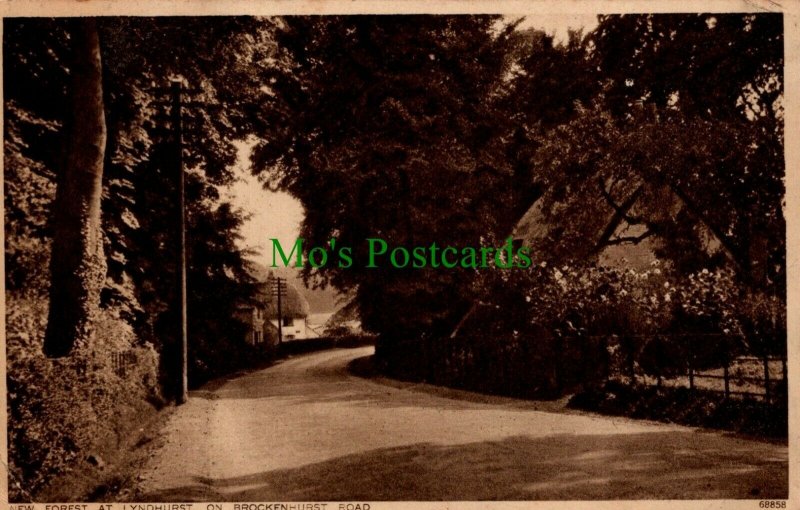 Genealogy Postcard - Jackson - 79 Albion Road, Stoke Newington, London RF6862 